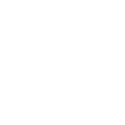widget-logo